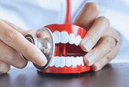 Teeth model stethoscope